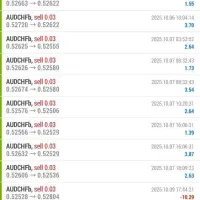 سرمایه گذاری با سود 100% در ماه