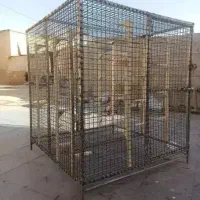 جفت گاه پرنده