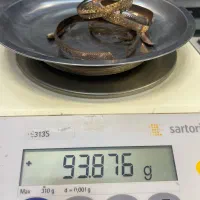 خرید وفروش طلا