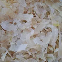 کتیرا فروشی سفید و زرد