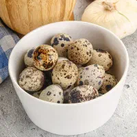 تخم بلدرچین کیلویی و بسته بندی مخصوص مصرفکنندگان|خوردنی و آشامیدنی|زنجان, |دیوار