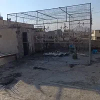 یک عدد قفس و یک عدد آفتاب خور کفتر