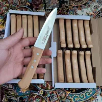 چاقو اشپزخونه کار با عمده فروشان قیمت مناسب|عمده‌فروشی|مراغه, |دیوار