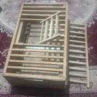 لانه کبوتر|پرنده|باروق, |دیوار