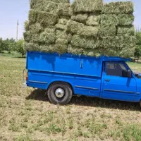 یونجه خشک خالص