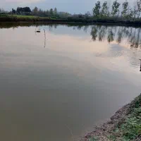 استخر پرورش ماهی ۹۰۰۰ متر