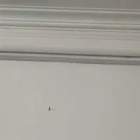 حراج ماسه بادی  .توتالکر . اسکیت ‌|حراج|نیشابور, شهرک جانبازان|دیوار