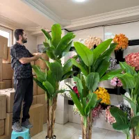 حراج درختچه مصنوعی|حراج|آفتاب, |دیوار