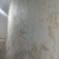 کاغذدیواری  و رنگ آمیزی|خدمات پیشه و مهارت|بندر گناوه, |دیوار