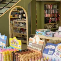 استخدام صندوق دار