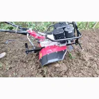 موتور کولیتواتور برای شخم زدن انواع باغات کشاورزی