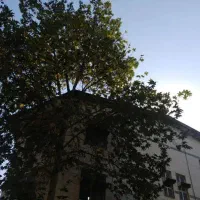 فروش مغازه تجاری در بلوار شهید بهشتی رشت