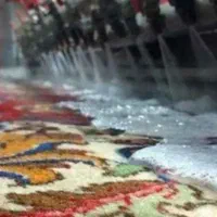 قالیشویی تمام اتوماتیک هامون