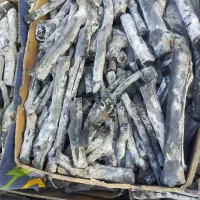 زغال پسته درجه یک