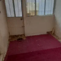 منزل|اجارهٔ آپارتمان|مشهد, رده|دیوار