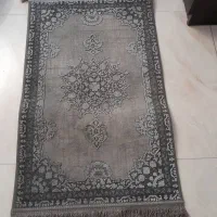 پادری فیلی طوسی|پادری|تهران, هفت حوض|دیوار