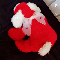 سگ قرمز با گوشهای سفید آویزون نو میباشد|اسباببازی|فردیس, قریشی|دیوار