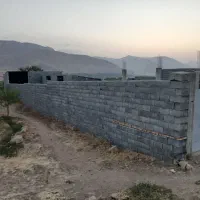 دامداری