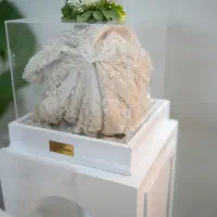 گل آرایی / تشریفات / دیزاین بله برون/ استند/جایگاه|خدمات پذیرایی، مراسم|همدان, |دیوار