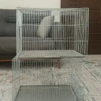قفس نو