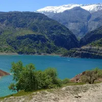طلا گمشده