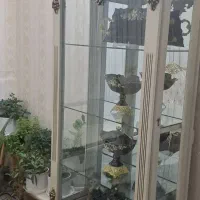گنجه نو