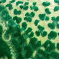 دوعددپتونوزادجنس قدیمی