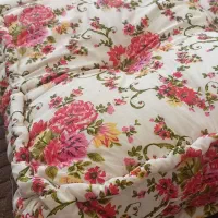 باسلام تشک دونفره در حدنو