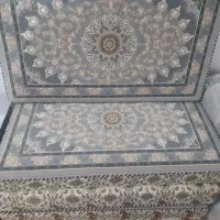 قالی وپشتی نو