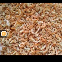 میگو خشک آجیلی ارسال به سراسرگشور