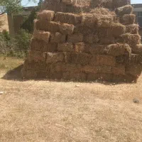 علف بسته بندی