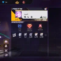 اکانت فری فایر|کنسول، بازی ویدئویی و آنلاین|زرند, |دیوار