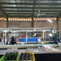 استخدام نیرو ساده خانم و آقا