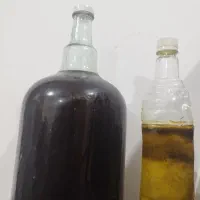 روغن بنه اعلا  (پرس سرد)