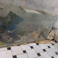 فروش آکواریوم