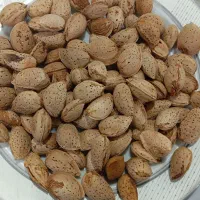بادام کاغذی