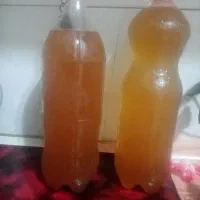 سرکه سیب و انگور|خوردنی و آشامیدنی|بناب, |دیوار