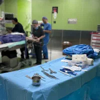 جراحی زیبایی لیپو ابدو