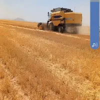 زمین کشاورزی