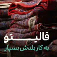 قالیشویی مبلشویی، سرداران بلوار نصر، جانبازان،|خدمات نظافت|شیراز, نصر|دیوار
