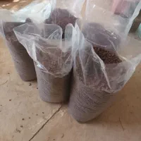 کشمش آفتابی مرغوب وتمیز بوجا ری شده|عمدهفروشی|کیار, |دیوار