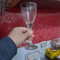 شرابخواری گیلاس پاشا باغچه