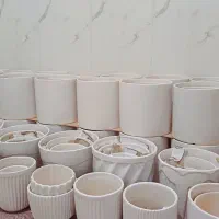 فروش گلدان و گل آپارتمانی  عمده