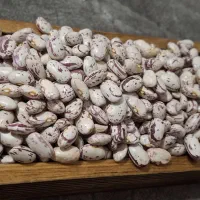 لوبیا چیتی|خوردنی و آشامیدنی|کرج, آق تپه|دیوار
