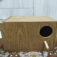 لانه نو عروس هلندی و کوتوله و گیرینچیک