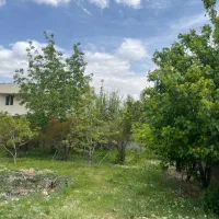 باغ|فروش زمین و ملک کلنگی|کامفیروز, |دیوار