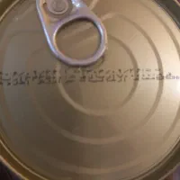 تن ماهی کامتونا