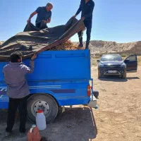 باغ پسته 7هکتار|فروش دفتر صنعتی، کشاورزی، تجاری|تربت جام, فاز ۱ فرهنگیان|دیوار