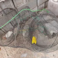 گردگول ماهی گیری