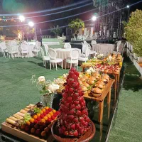 فینگر فود میز مزه دیزاین غذای خانگی